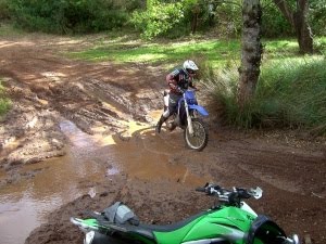 [PICT6816red[1].jpg]